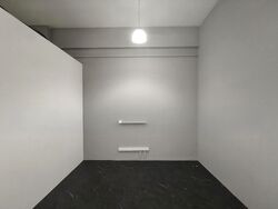 Primz Bizhub (D25), Factory #615688271